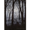 Chasing the Dragon ~sold~ - Image 4